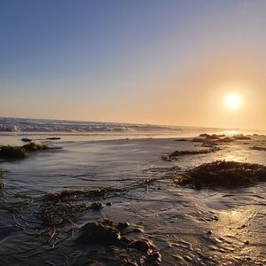 FALL PROMO 💕FREE SHIPPING ON over $50 purchase 💕